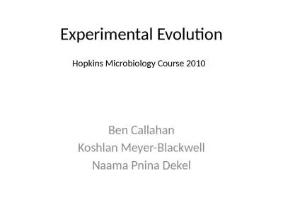 Experimental Evolution Ben Callahan