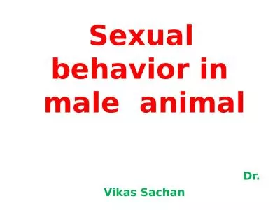 Sexual  behavior in  male  animal