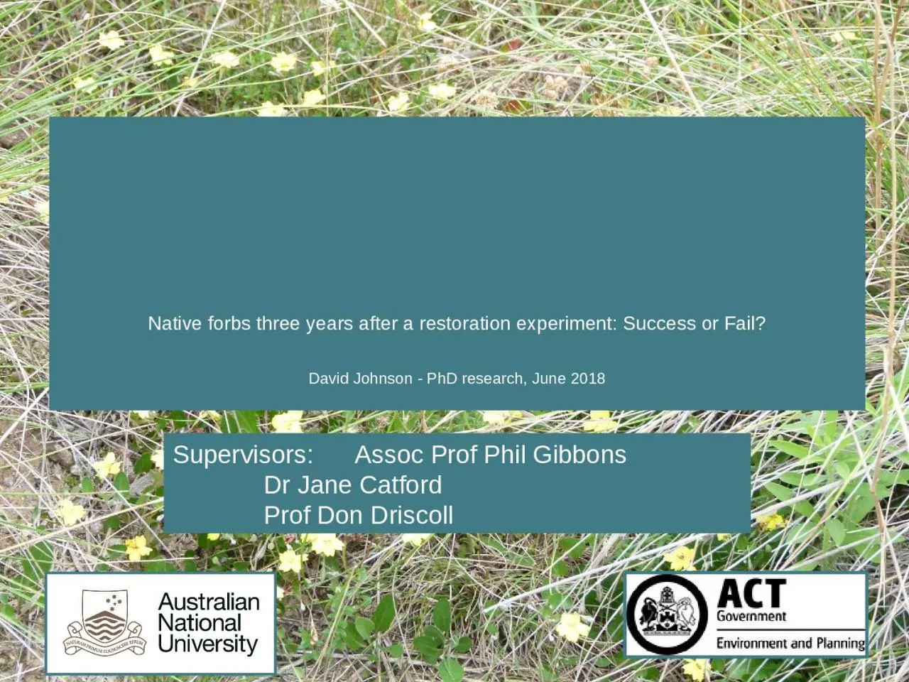 PPT-Native forbs three years after a restoration experiment: Success or Fail?