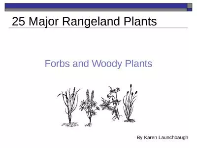 Forbs and Woody Plants 25 Major Rangeland Plants