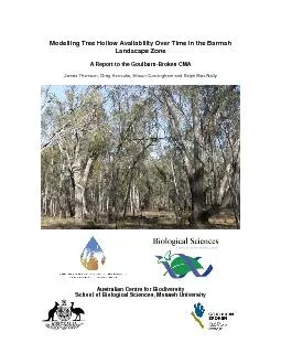 Modelling Tree Hollow Availability Over Time in the Barmah