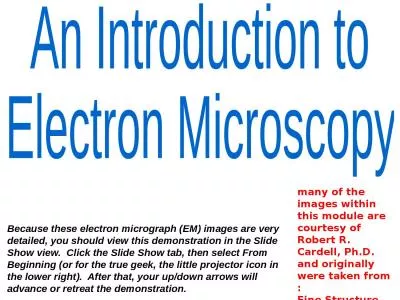 An Introduction to  Electron Microscopy