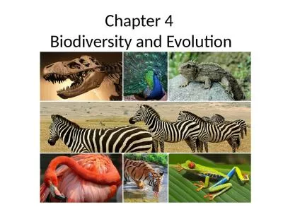 Chapter 4  Biodiversity and Evolution