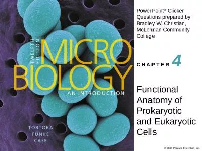 Functional Anatomy of Prokaryotic and Eukaryotic Cells