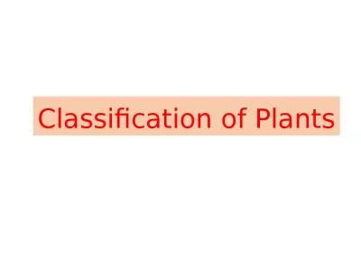 Classification of Plants