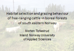 Habitat selection and grazing behaviour of free-ranging