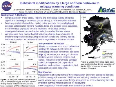 Behavioral modifications by a large northern herbivore to mitigate warming conditions