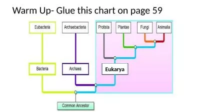 Eukarya Warm Up- Glue this chart on page 59