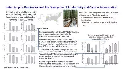 Heterotrophic Respiration and the Divergence of Productivity and Carbon Sequestration