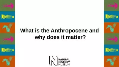 What is the Anthropocene and 