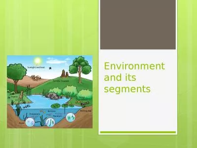 Environment  and its segments
