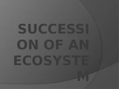 Succession of an Ecosystem