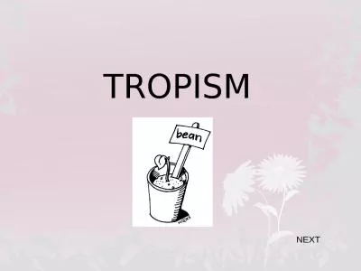 TROPISM NEXT NEXT .  There are many types of tropisms :