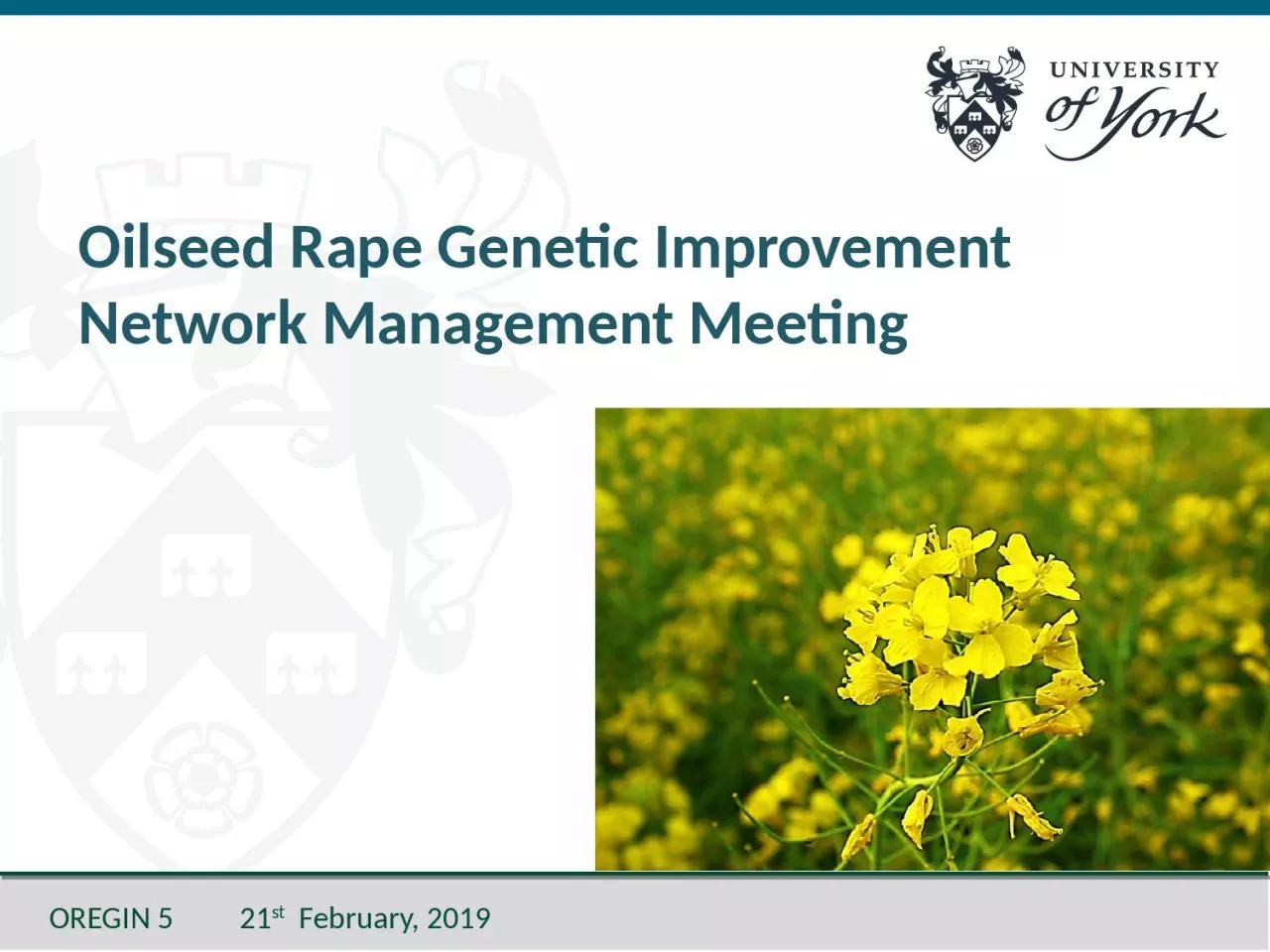 PPT-Oilseed Rape Genetic Improvement Network Management Meeting