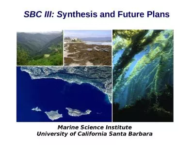 SBC III: S ynthesis and Future Plans