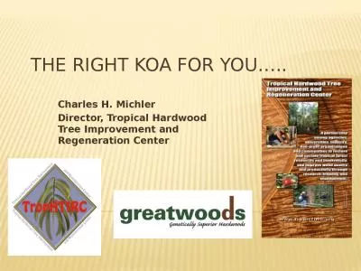 The right  koa  for you…..