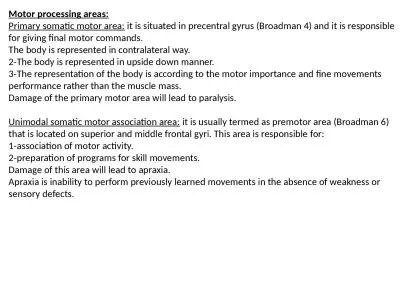 Motor processing areas: Primary somatic motor area: