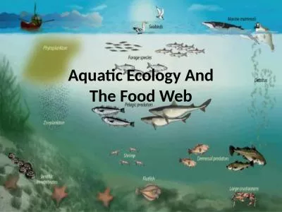 Aquatic Ecology And The Food Web