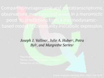 Comparing metagenomic and metatranscriptomic observations over time and space in a meromictic