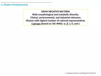 3.  Phylum Proteobacteria