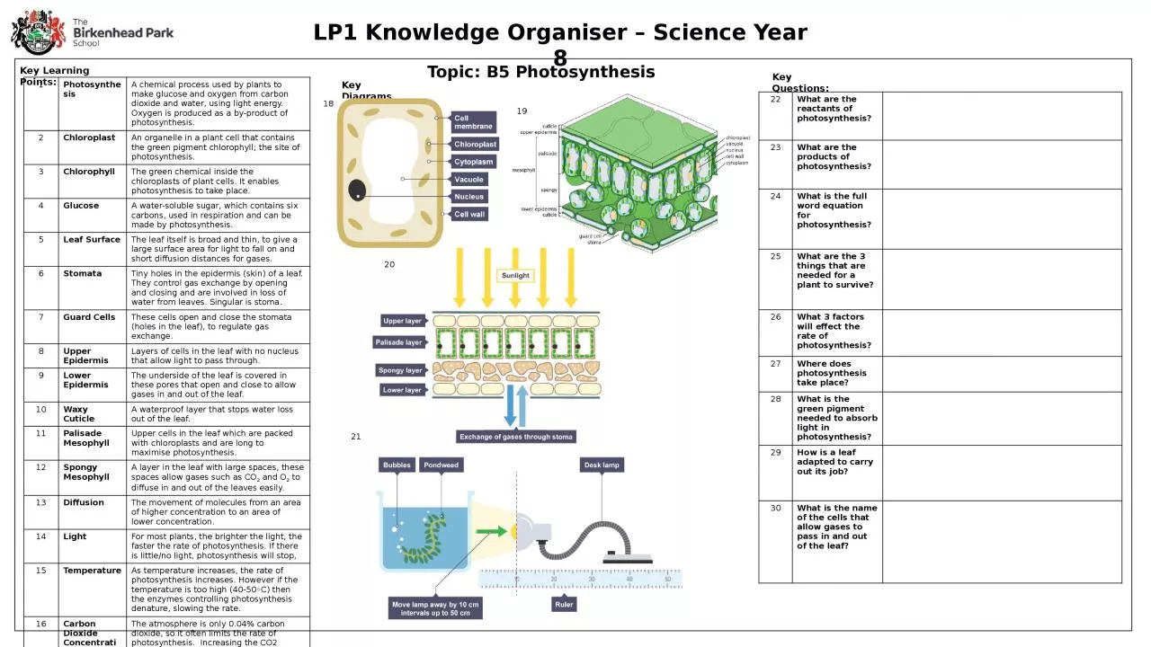 PPT-LP1 Knowledge Organiser – Science Year