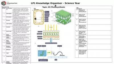 LP1  Knowledge Organiser – Science Year