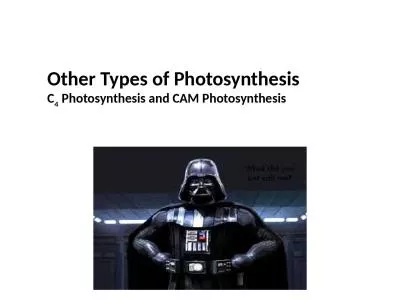Other Types of Photosynthesis