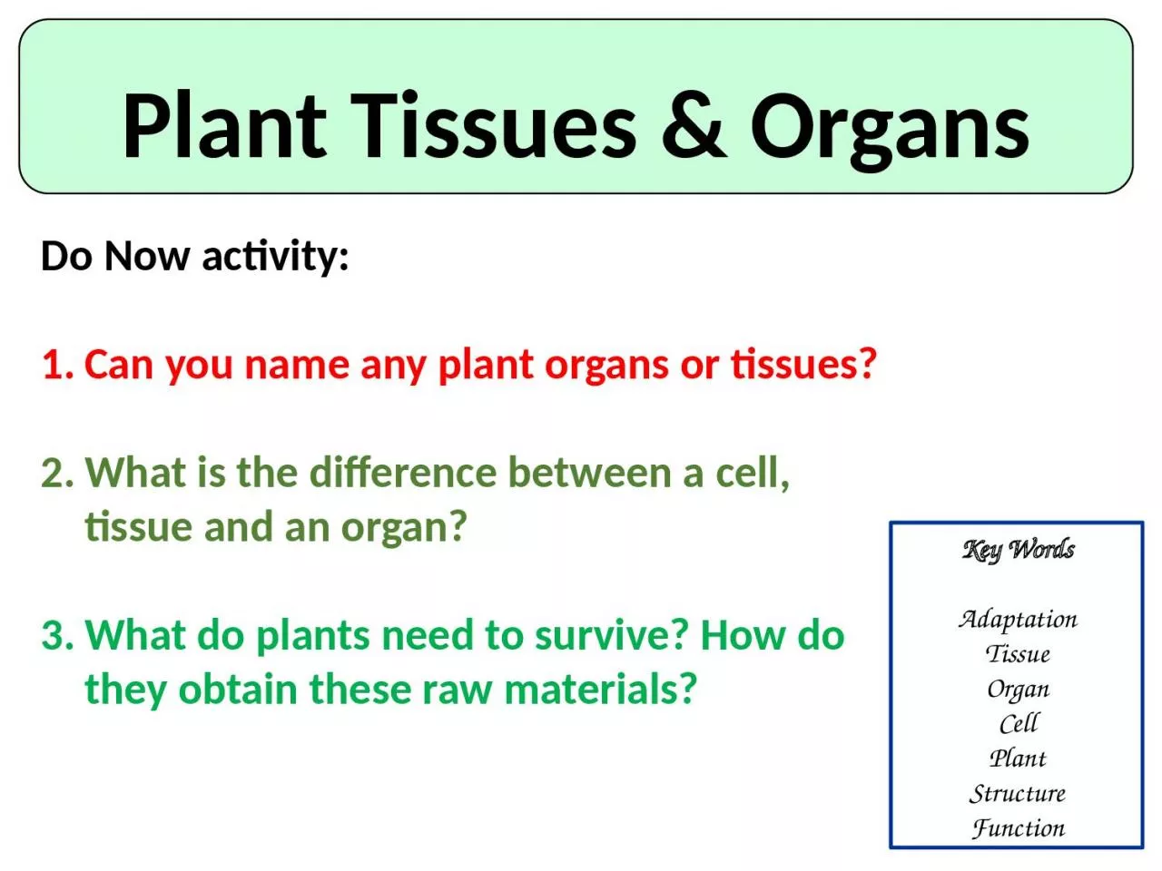 PPT-Plant Tissues & Organs