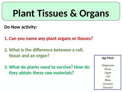 Plant Tissues & Organs