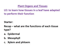 Plant Organs and Tissues