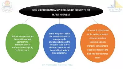 Soil Microorganisms in Cycling of Elements or Plant Nutrient