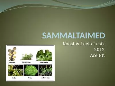 SAMMALTAIMED Koostas Leelo Lusik