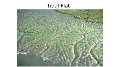 Tidal Flat Environments Tides are a complex product of gravitational attraction (from