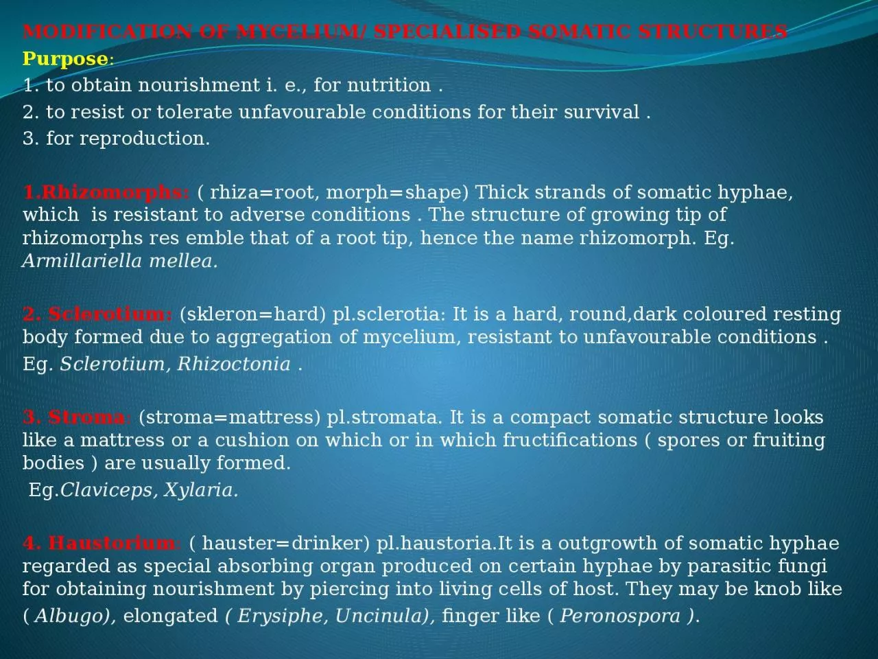 PPT-MODIFICATION OF MYCELIUM/ SPECIALISED SOMATIC