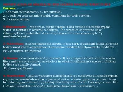 MODIFICATION OF MYCELIUM/ SPECIALISED SOMATIC