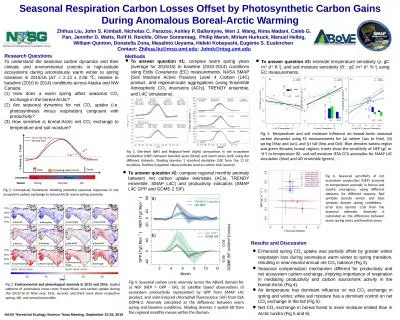 Seasonal Respiration Carbon Losses Offset by Photosynthetic Carbon Gains During