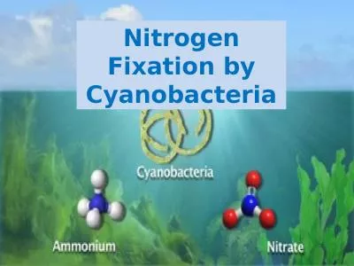 Nitrogen Fixation by Cyanobacteria