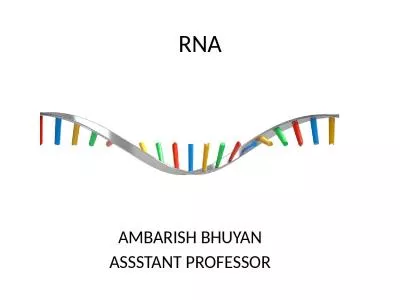 RNA AMBARISH BHUYAN ASSSTANT PROFESSOR