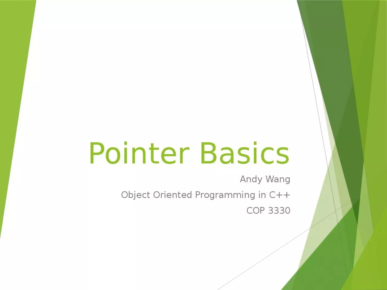 PPT-Pointer Basics Andy Wang