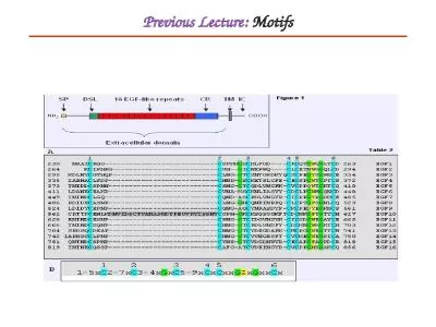 Previous Lecture:  Motifs