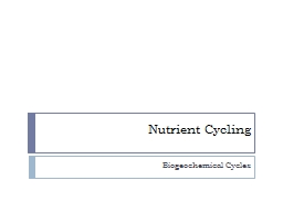 Nutrient Cycling Biogeochemical Cycles