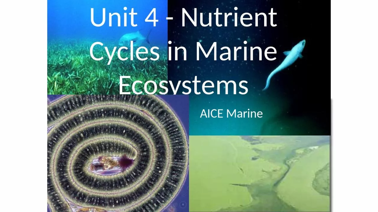 Unit 4 - Nutrient  Cycles in Marine Ecosystems