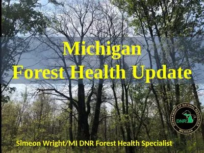 Michigan Forest Health Update