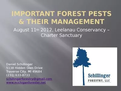 Important  Forest pests & Their