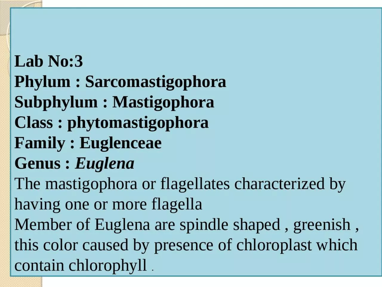 PPT-Lab No:3 Phylum : Sarcomastigophora