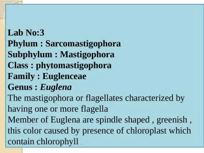 Lab  No:3  Phylum :  Sarcomastigophora