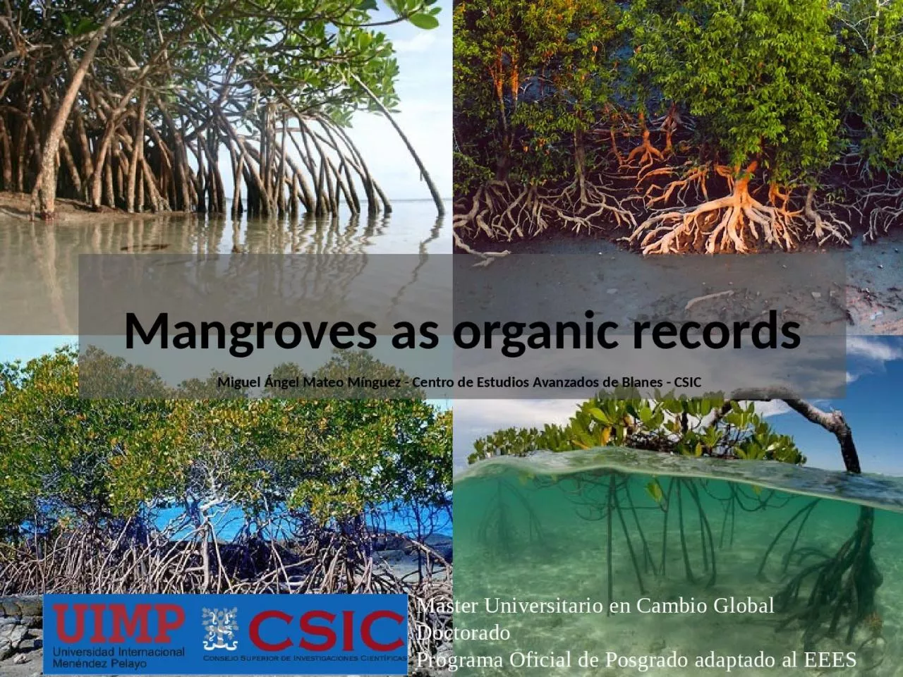 PPT-Mangroves as organic records