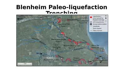 Blenheim Paleo-liquefaction Trenching