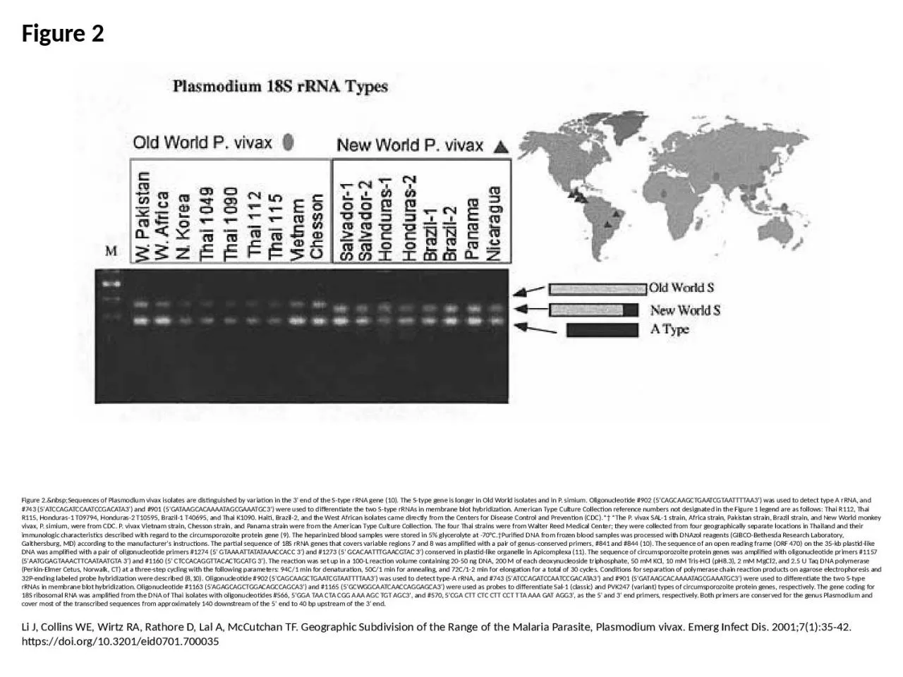 PPT-Figure 2 Figure 2.&nbsp;Sequences of Plasmodium vivax isolates are distinguished by