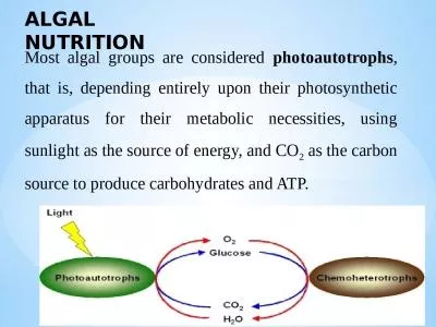 Most  algal groups are considered